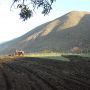 950x950images~soil~~DSCN5594